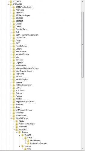 Apple Bonj twice  on Registry.JPG