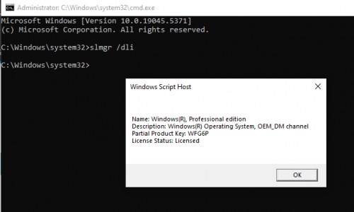 Windows licence.PNG