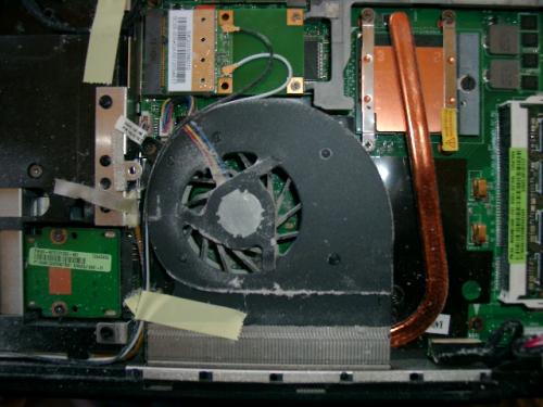 Dusty_Before.JPG