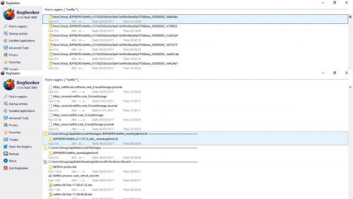 RegSeeker-netflix files-6.jpg