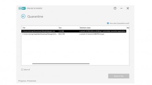 Eset Quarantine window 2.jpg