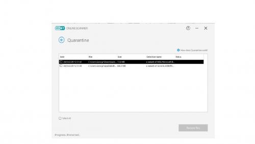 Eset quarintine window.jpg