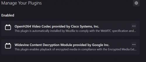 Firefox plugins.JPG