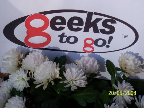 Geeks_to_Go_inside_an_Aalto_Vase.JPG