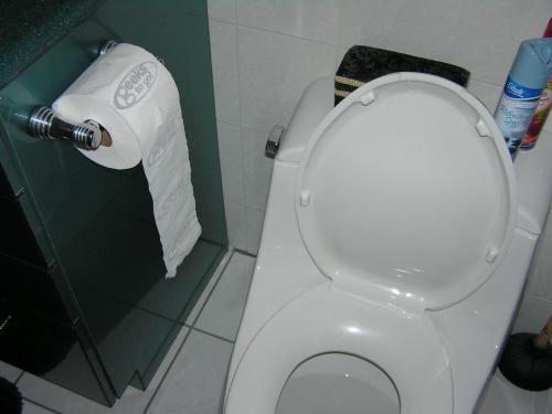 toiletgtg.jpg