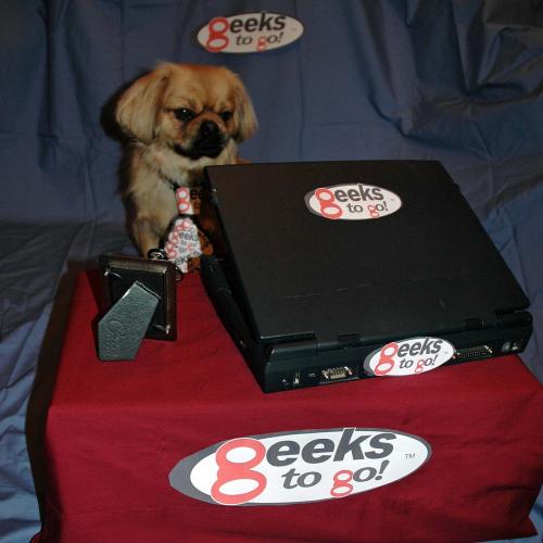 Geek_to_Go_Final_5.jpg