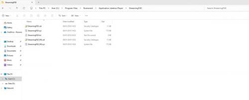 Streaming FSD 2024-05-14 220613.jpg