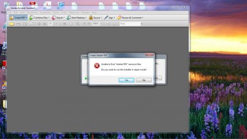 Adobe Acrobat Error.jpg
