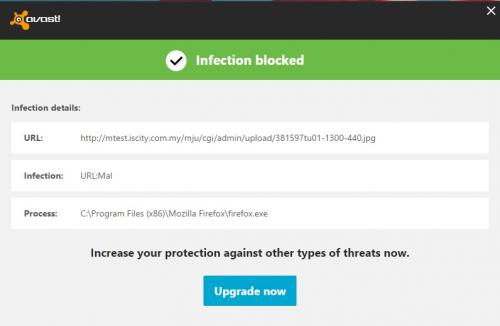 infection blocked.jpg