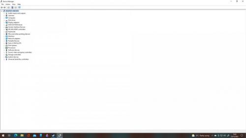 Device Manager.jpg