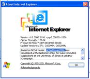 ie_version.jpg
